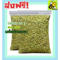 ราคา เมล็ดฟักทอง 500 กรัม พร้อมทาน เกรด AAA (ไม่ใส่เกลือ) Roated Pumpkin Seeds เม็ดฟักทอง ฟักทองอบ ส่งฟรี ราคาถูก FFG (24211945564)