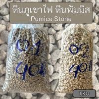 ราคา หินภูเขาไฟ หินพัมมิส สำหรับกรองตู้ปลา บ่อปลา รองพื้นตู้ปลา หรือปลูกต้นไม้ ถุง 1กิโลกรัม (29731347048)
