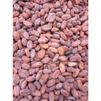 ราคา โกโก้ดิบแห้ง เมล็ดโกโก้ Dried Cacao Bean คาเคา บีน (SAKAEO-Origin) 500 กรัม (18624527351)