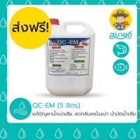 ราคา ส่งฟรี EM หัวเชื้อจุลินทรีย์ QC-EM จุลินทรีย์น้ำ 5 ลิตร แก้ปัญหาน้ำเน่าเสีย ลดกลิ่นเหม็นเน่า สบายดีซัพพลายแอนด์โค (7539645350)