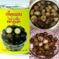 ราคา พร้อมส่ง เห็ดเผาะ เห็ดถอบ เห็ดถอบกระป๋อง เห็บถอบในน้ำเกลือตราภูเขา คัดอ่อนพิเศษ ขนาด 500 กรัม (25858401688)