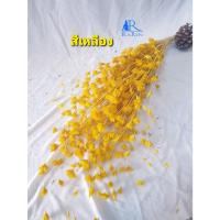 ราคา ดอกไผ่ห้วยลึก ย้อมสี ( สีเหลือง ) ดอกไผ่ ดอกไม้เมืองหนาว สำหรับตกแต่บ้าน หรือ เป็นพร๊อพถ่ายรูปเก๋ๆ (14893193092)