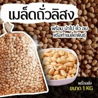 ราคา ถั่ว ถั่วลิสงเกษตรคัดเกรด จะคั่ว จะอบ จะทำเมล็ดพันธุ์ ก็เหมาะ พร้อมส่ง 1 กิโลกรัม (40063760625)