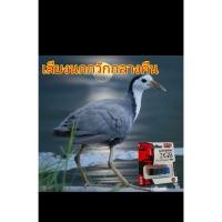 ราคา เสียงนกกวักกลางคืนบันทึกใน USB (49851777437)