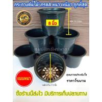 ราคา กระถางต้นไม้ กระถางพลาสติกกลม กว้าง7.5 นิ้ว สีดำ แพ็ค10 ใบ ขอบหนา เหนียวทน มีรูด้านข้างแขวนได้ กระถางแขวน (10572586662)