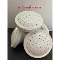 ราคา หัวบัวรดน้ำพลาสติก ขนาดกลาง สำหรับบัวเบอร์03(4ลิตร) (6667904985)