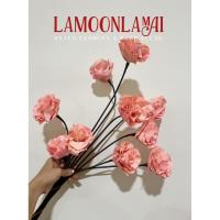 ราคา ชบาดอย พีชโทน พร้อมส่งทุกวัน (40873920595)