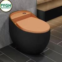 ราคา Toilet โถส้วมล้างห้องน้ำ โถส้วมทำจากเซรามิค โถส้วมห้องน้ำ (42972780980)