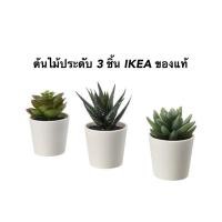 ราคา ต้นไม้ปลอม ประดับบ้าน ที่ทำงาน ได้ 3 กระถาง IKEA ของแท้ (24935177844)