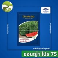ราคา เมล็ดพันธุ์ แตงโม ลูกผสม ซอนญ่า โปร75 ลอตใหม่ 1000เมล็ด (28321847987)