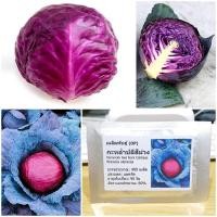 ราคา เมล็ดกะหล่ำปลีสีม่วง - Purple Cabbage บรรจุชุดละ 400 เมล็ด คุณภาพดี ราคาถูก ของแท้ 100% (759399398)