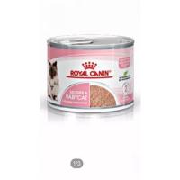 ราคา Royal Canin FHN Babycat Can 12กระป๋อง (12196286035)