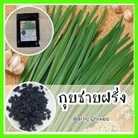 ราคา พร้อมส่ง ❗ รหัส 106 เมล็ดพันธุ์ OP แท้ ต้นกุยช่ายฝรั่ง - Garlic Chives เมล็ดพันธุ์ผัก ต้นกุยช่าย เมล็ดกุยช่าย เมล็ดผัก (11103021618)