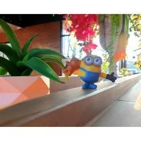 ราคา Minions หมี(สีออริจินัล. MC Japan) (8102431000)