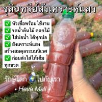 ราคา หัวเชื้อจุลินทรีย์สังเคราะห์แสง PSB (29028490319)