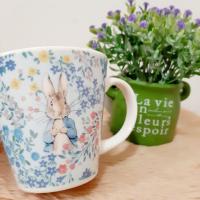ราคา แก้วมัค Peter Rabbit ลายฟ้าสดใส แท้ (27425112859)