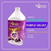 ราคา กรีนพลัส น้ำยาปรับผ้านุ่ม สูตรเข้มข้น (สีม่วง) ขนาดแกลลอน 3,800 มล. (25790910174)