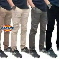 ราคา พรีเมี่ยม SLIMFIT CHINOS DICKIES TROUSERS (28137934673)