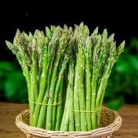 ราคา Asparagus Seeds เมล็ดหน่อไม้ฝรั่ง / หน่อไม้ฝรั่งม่วง / หน่อไม้ฝรั่งขาว / หน่อไม้ฝรั่ง Asparagus Seeds(10seeds) (55603552095)