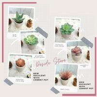 ราคา ใหม่เลียนแบบสุนทรียศาสตร์ ฉ่ํา ในกระถางปูน / กระถางปูนเทียมมินิมอล ฉ่ํา (8989893714)