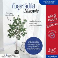 ราคา ฟรีตะกร้าสาน ต้นยูคาลิปตัส ใบกลม Eucalyptus Tree ต้นไม้ปลอม ต้นยูคาลิปตัสปลอม (22022472888)