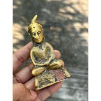 ราคา งั่งตะปูสังฆวานร เกศคดซ้าย (50502803722)