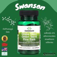 ราคา พร้อมส่ง Swanson Grape Seed Green Tea & Pine Bark Complex 60 แคปซูล JNRU (43830882922)