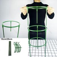 ราคา 15 ซม.25 ซม.ดอกไม้พลาสติกพืชสนับสนุนกรง Plie Stand Holder ครึ่งวงกลมสวน Green House Orchard Fixing Rod เครื่องมือบอนไซ TH18B1 (57657662495)
