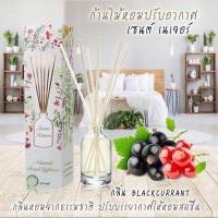 ราคา หอมสุดๆScentNatureก้านไม้หอม50ml.กลิ่น BLACKCURRANT (24211935199)