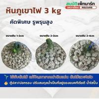 ราคา หินภูเขาไฟ 3 kg. หินพัมมิส คุณภาพสูง ใช้สำหรับบ่อกรองปลา และ ปลูกต้นไม้ 3 kg (56754343084)