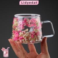 ราคา LIDYEDAT165 แก้วกาแฟ, ดอกไม้จําลองพร้อมที่จับถ้วยแก้วสองชั้น, แก้วเก็บความเย็นเครื่องดื่มสองชั้นเก็บบ้าน (52160693204)