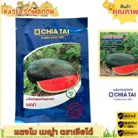 ราคา แตงโมเมญ่า เมล็ดพันธุ์แตงโมตอปิโด 40 ก. ตราเจียไต๋ (5246623341)