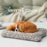 ราคา ตุ๊กตาหมา ตุ๊กตาสุนัข ตุ๊กตาดูดกลิ่น ตุ๊กตาดับกลิ่น น่ารักฝุดๆๆๆๆ แบบเยอะที่สุด (ลูกตัวเล็ก) (40719344309)