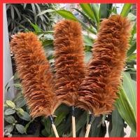 ราคา [ราคาโรงงาน] ไม้กวาดขนไก่สีทองด้ามไม้ - ไม้กวาดขนไก่ที่สวยที่สุด (47808104659)