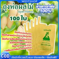 ราคา 300pcs ถุงกระดาษคาร์บอน ถุงห่อผลไม้ ขนาด 20x30 ซ.ม. จำนวน 100 ใบ ถุงห่อมะม่วง ถุงคาร์บอน ทีเอบี ป้องกันแมลงวันทอง (45754729937)