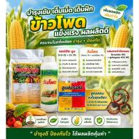 ราคา ชุดอาหารเสริมและสารกำจัดแมลงใช้ได้กับพืชทุกชนิดที่ต้องการเพิ่มน้ำหนักให้ผลผลิตร(ผสมน้ำได้400ลิตร)เร่งแป้งเร่งสีเร่งหวาน (41230864212)