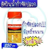 ราคา อัศวินน้ำกำจัดปลวก 250cc (8207540619)