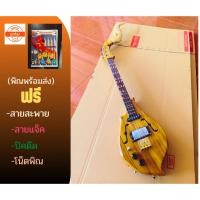 ราคา พิณโปร่งไฟฟ้าไม้สักทองแถมฟรีสายสะพายปิคคู่มือสายแจ็๕ (20189225078)