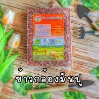 ราคา ข้าวกล้องแดง ข้าวมันปู ข้าวหอมมะลิแดง (19005725591)