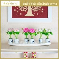 ราคา ดอกบัวปลอม ชุดแจกันดอกบัวเล็ก ไหว้หิ้งพระ งานดินปั้น ราคา 1 คู่ / กว้าง 3.5 ซม สูงรวม 9.5 ซม. (7049267946)