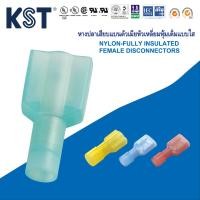 ราคา KST หางปลาเสียบแบนตัวเมียหัวเหลี่ยมหุ้มเต็มแบบใส ถุงละ50ชิ้น (23464197583)