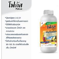 ราคา โฟกัส ปุ๋ยเคมีน้ำ 3-0-31 จากออสเตรเลีย สร้างเนื้อ เข้าสี เพิ่มคุณภาพผลผลิต (25908714559)