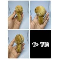ราคา Japanese Dormouse#ดอร์เมาส์#Yamane#ยามาเนะ#กระรอกจิ๋ว#งานพวงญี่ปุ่นมือสอง (56157611590)