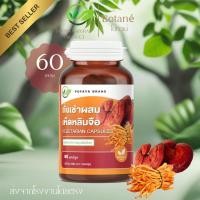 ราคา ถั่งเช่าผสมเห็ดหลินจือแดงผง 60 แคปซูล/กระปุก สมุนไพร100%Cordyceps (45454325042)