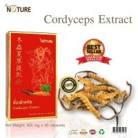 ราคา ถั่งเฉ้า Cordyceps Extract x 1 กล่อง เดอะ เนเจอร์ The Nature ถั่งเฉ้าสกัด ใบแป๊ะก๊วยสกัด ถั่งเช่า (10719764948)