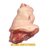 ราคา โมเดล หมูสด ขาหมูสด เรซิ่น ขาละ 1,000 บาท ขนาด 2.2 โล กว้าง 16 ยาว 20 หนา 22.5 CM หมูสด ดิบ ขาหมูสดเรซิ่น ขาหมูปลอม (17564046154)