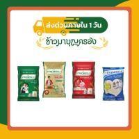 ราคา รวมข้าวมาบุญครอง 5 กก. | ข้าวหอมมะลิ 100% / ข้าวหอมมะลิใหม่ต้นฤดู / ข้าวรวงแก้ว ข้าวขาว 100% คัดพิเศษ (42628867831)