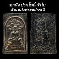 ราคา C173​ สมเด็จ​ ปรกโพธิ์เก้าใบ เนื้อผงใบลาน​ ลงรักปิดทอง​ ด้านหลังพระแม่ธรณี​ ขนาด3.0x5.0.​cm (29325846246)