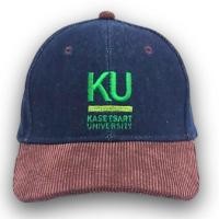 ราคา หมวกแก๊ปยีนส์วินเทจ cap ผ้ายีนส์ (ทูโทน) สีม่วงเข้ม (27013672982)