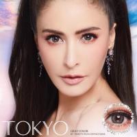 ราคา Tokyo gray พร้อมส่งค่าสายตา (2799076990)